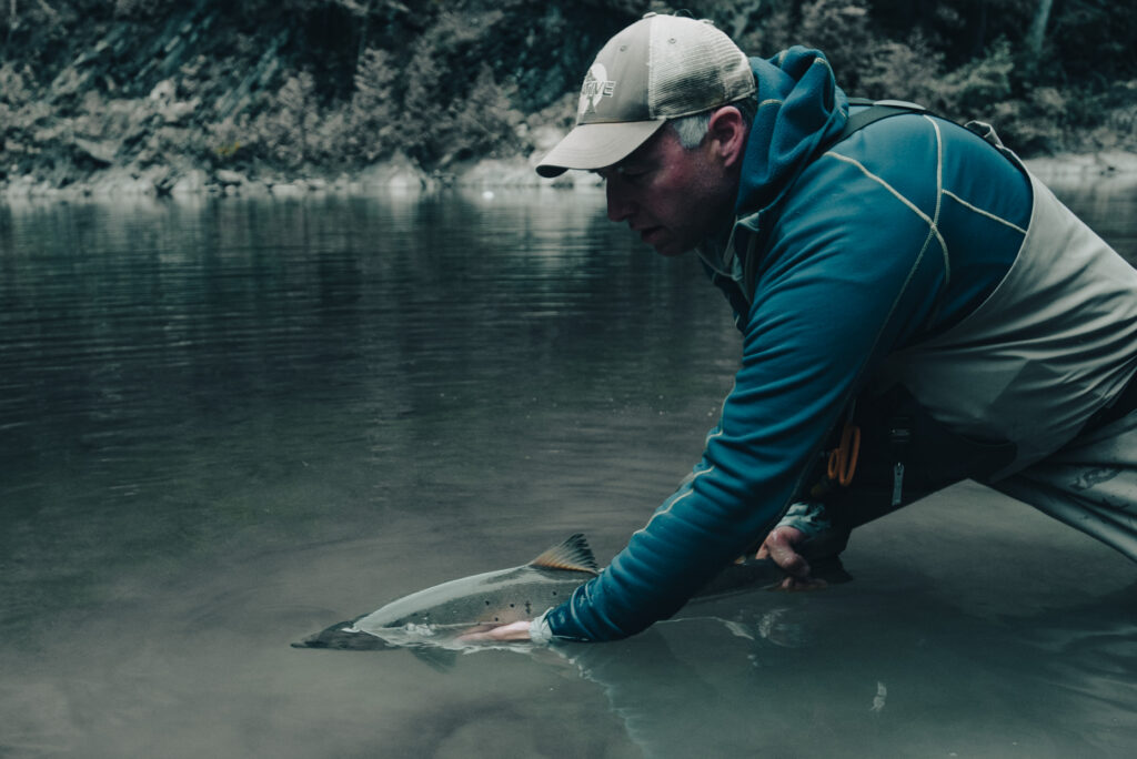Chris Joosen ready to release a Gaspe Atlantic Salmon on the Dartmouth River, QC.