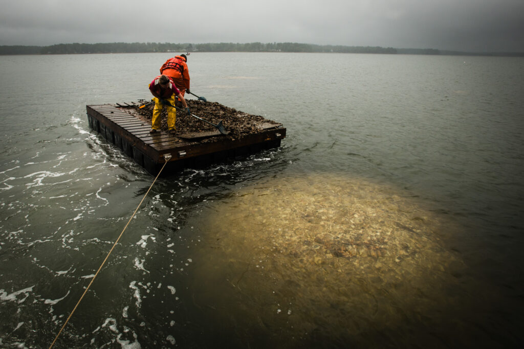 Conservation photography working on Great Bay with a barge full of oysters and volunteers above an artificial reel of recycled oyster shells.